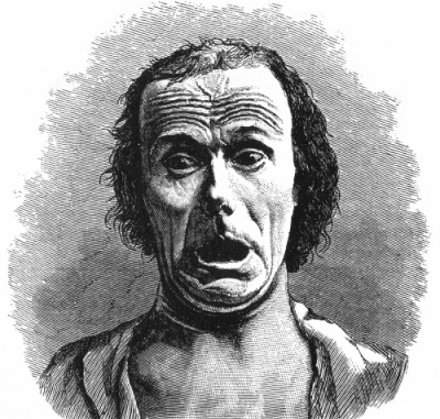 Expression_of_the_Emotions_Figure_20
