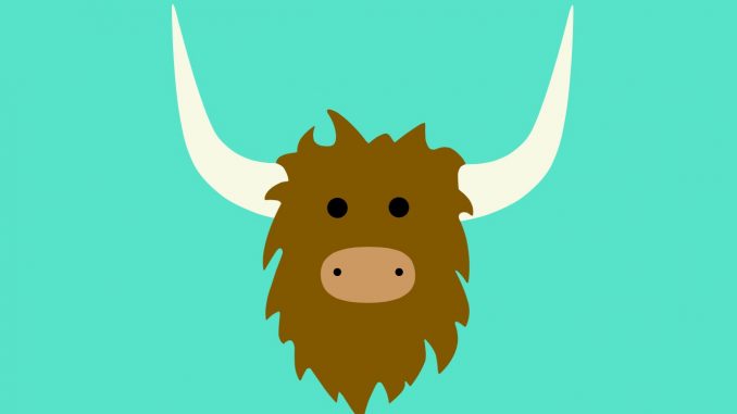 yik yak