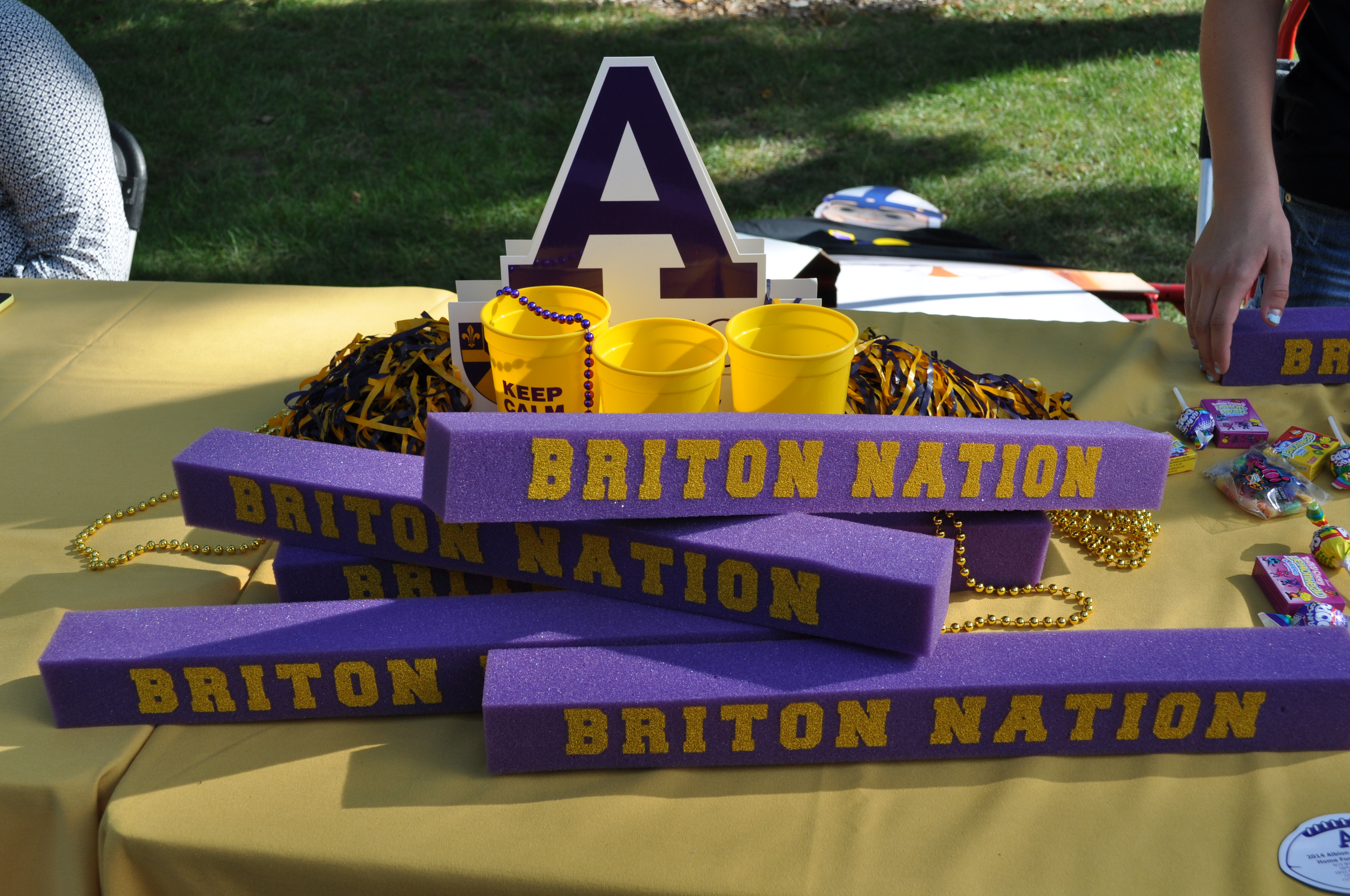Five tips to have the best Briton Bash experience The Albion College Pleiad Online
