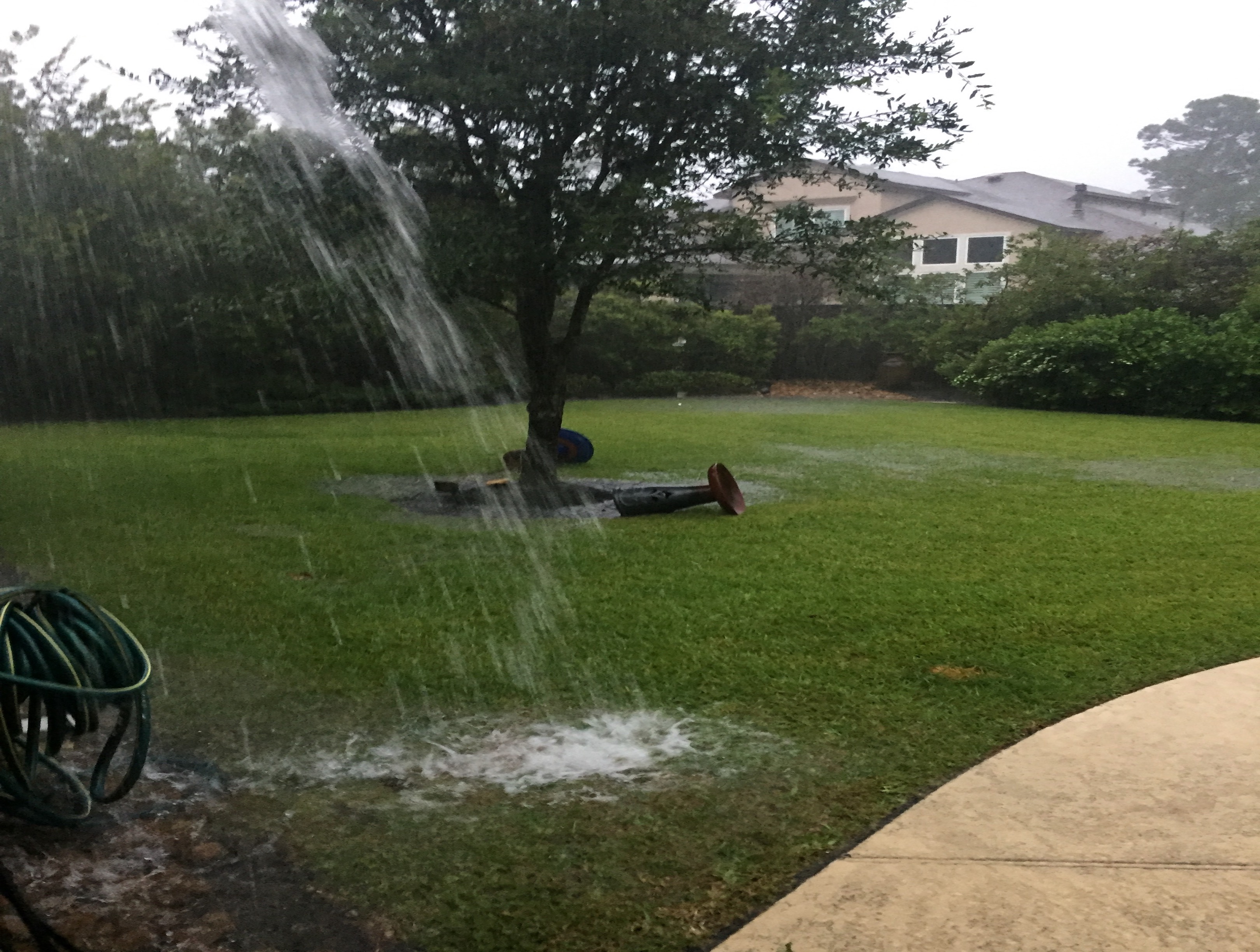 The Woodlands Texas Flooding >> Houston-Area Albion Students on Hurricane Harvey’s ... The Woodlands Texas Flooding >> Houston-Area Albion Students on Hurricane Harvey’s ...