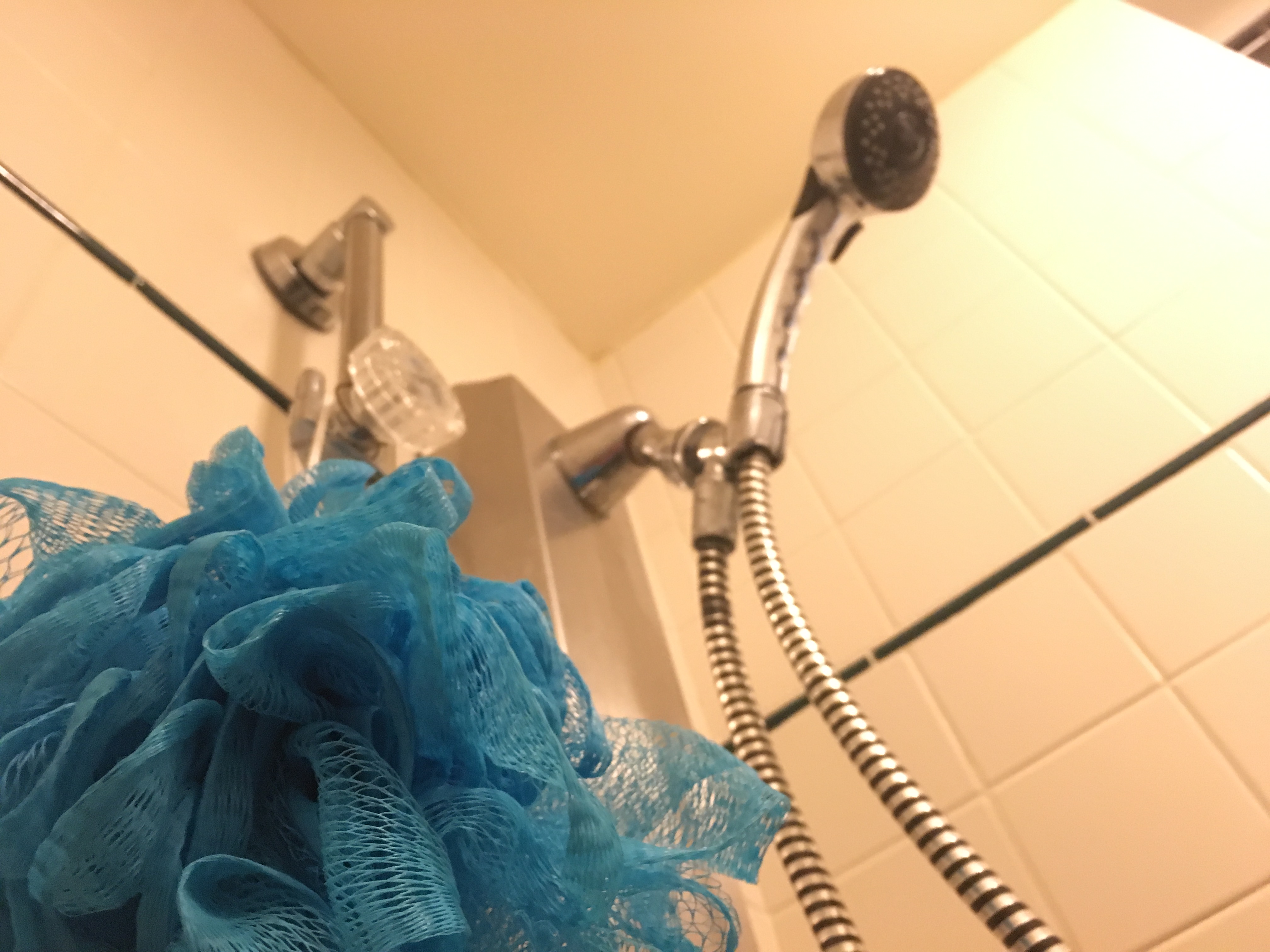 Top 25 do loofahs collect bacteria in 2022 Gấu Đây