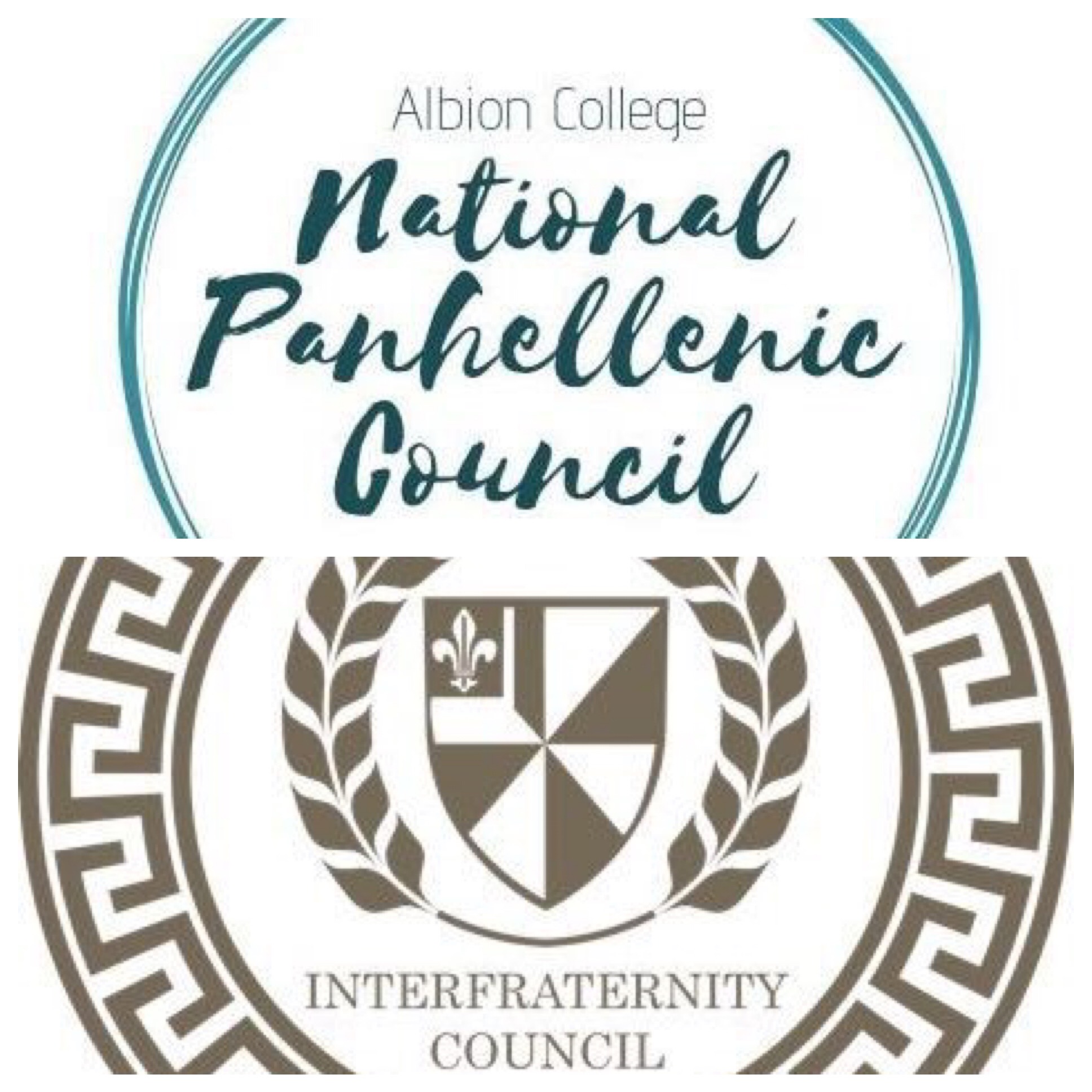 Greek Life Takes New Initiative Toward Mental Health The Albion