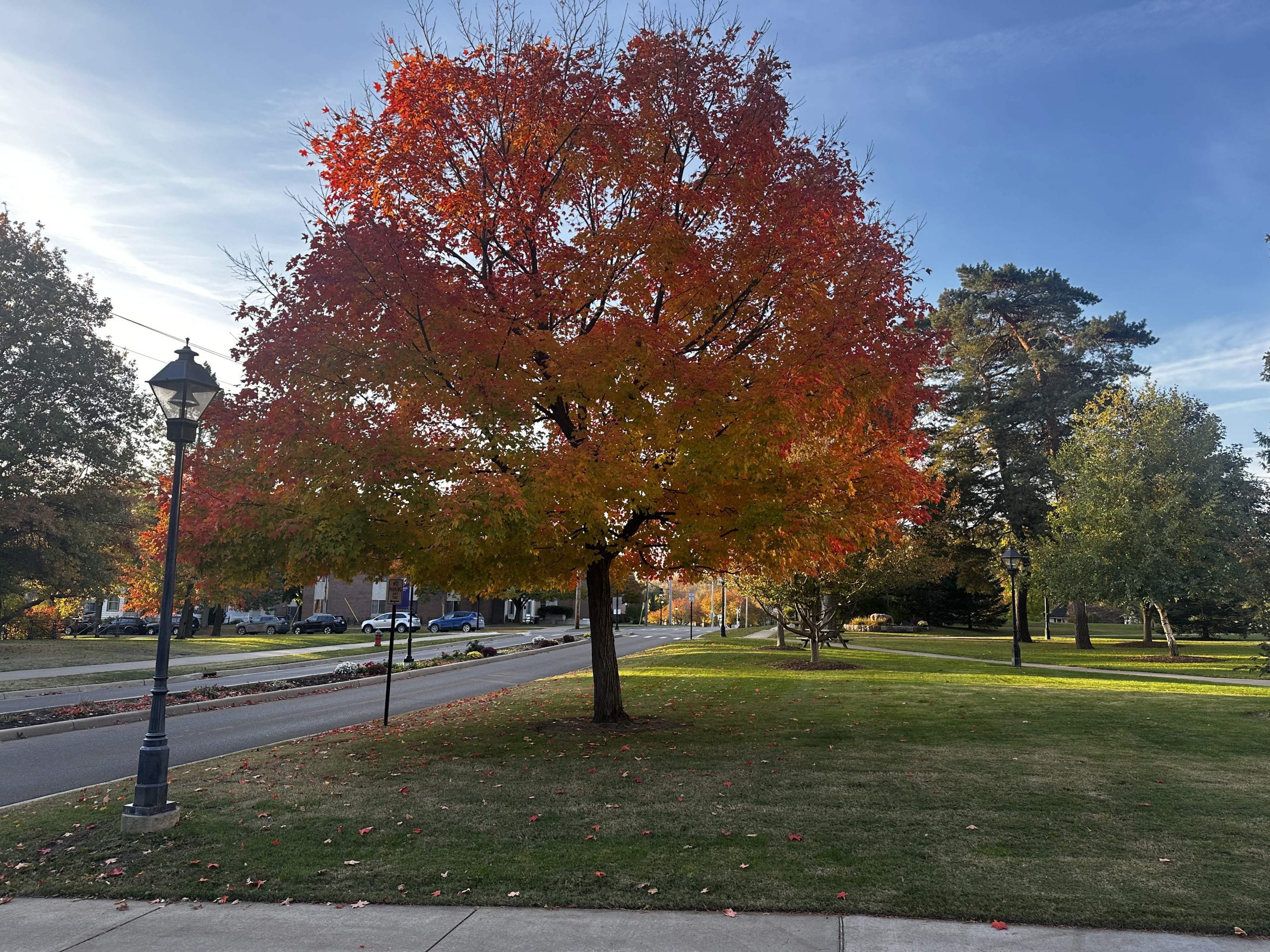 Is Acu Fall Break Worth It? The Honest Student Review - 5fj1a1h