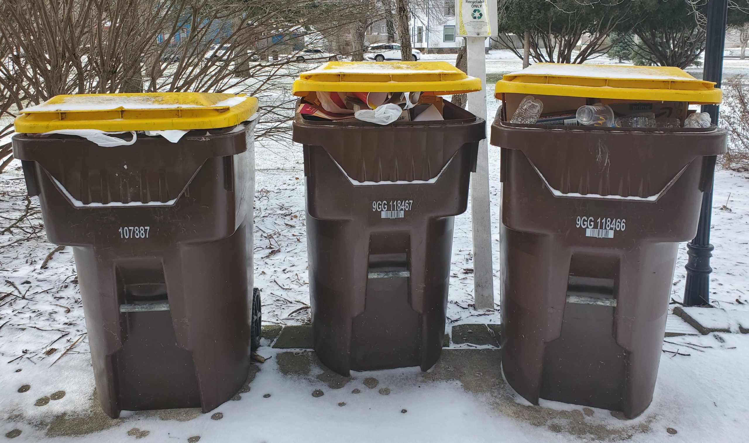 Albion College Recycling Is it Really Being Recycled? The Albion