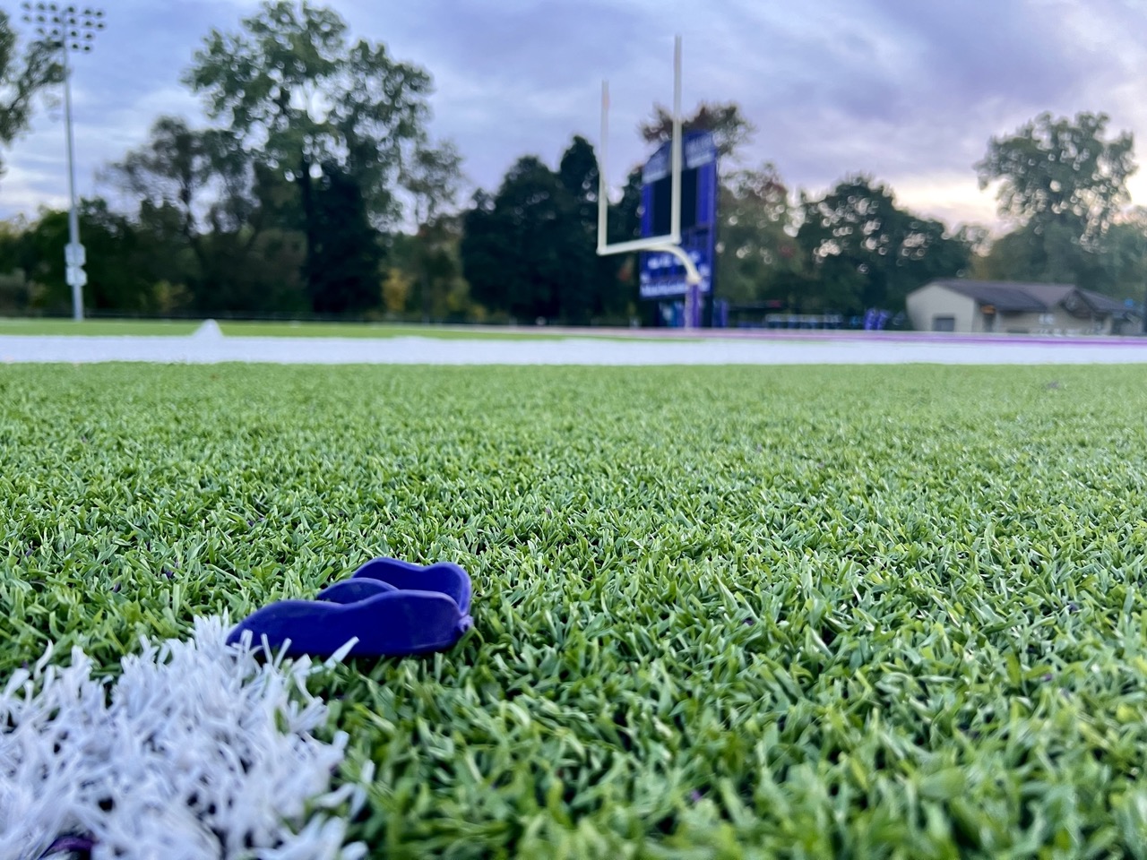 Opinion Grass vs Turf, What the Sports World Has to Say The Albion