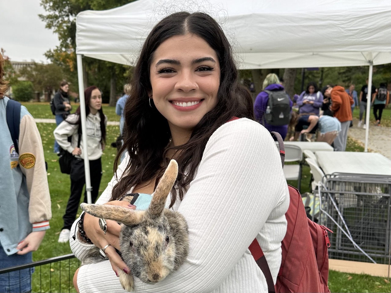 Photos Therapy Animals Visit Albion College The Albion College